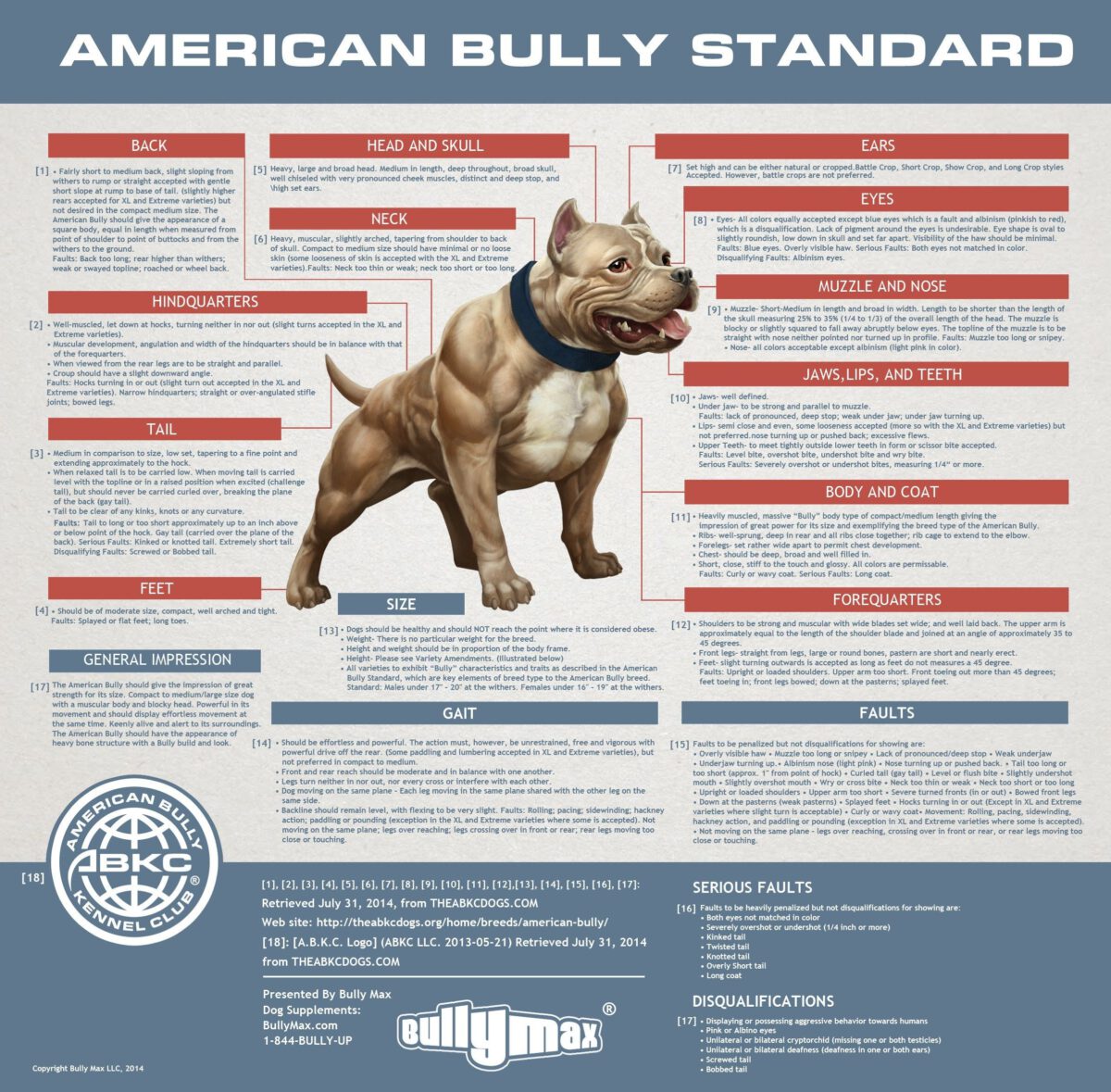 American Bully Standards 13 Royal Bloodlines