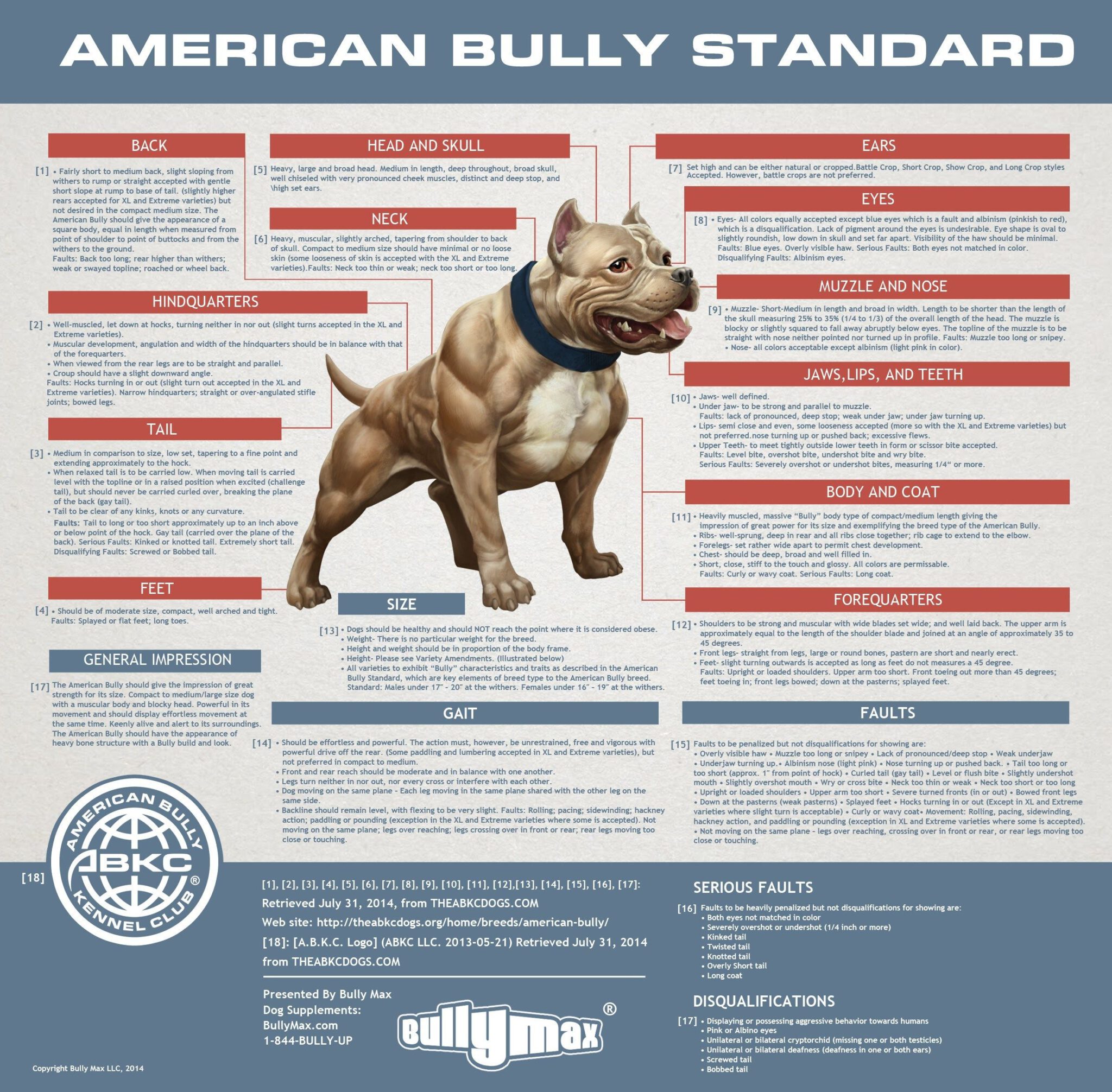 American Bully Standards – 13 Royal Bloodlines