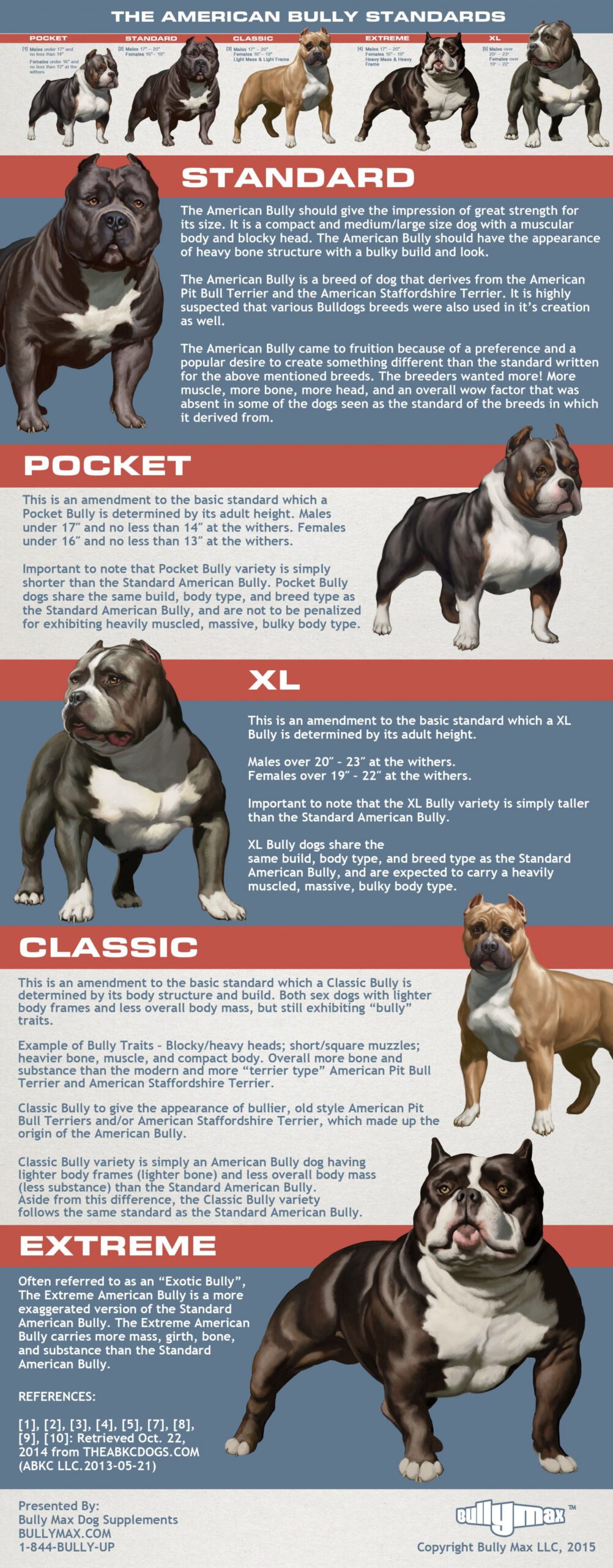 Bully Color Chart