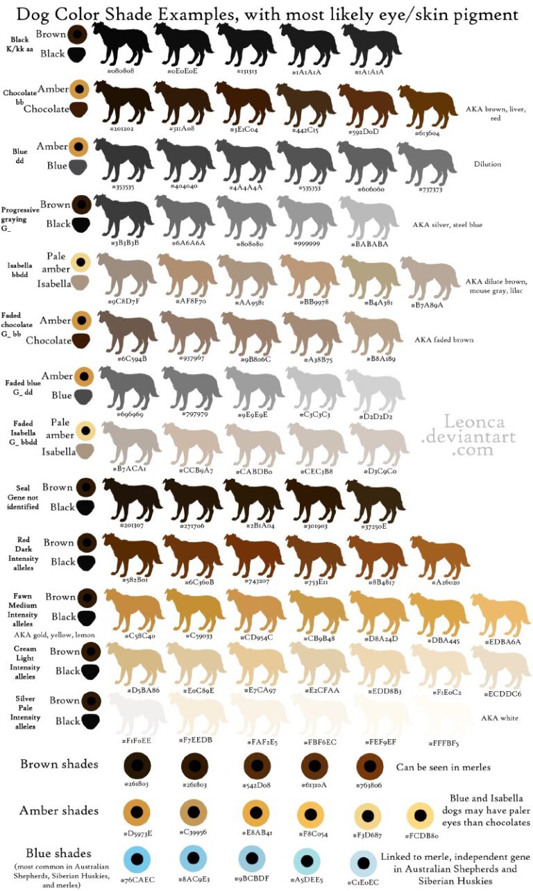 Dog Color & 13 Royal Bloodlines